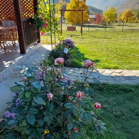 Apartmani Petar موكرا غورا المظهر الخارجي الصورة